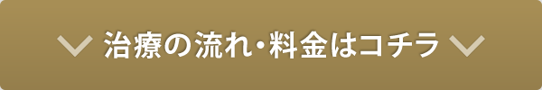 診療の流れ・料金はこちら