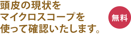 頭皮の現状をマイクロスコープを使って確認いたします。